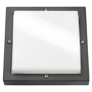 3000k led 10w grafit bassi