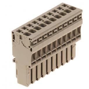 10 1an 4 zp stik
