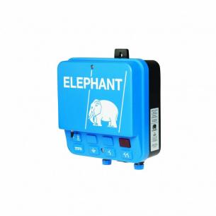 a30 elephant elhegn