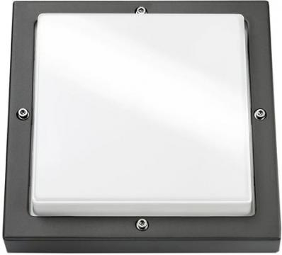 230v led 10w grafit bassi