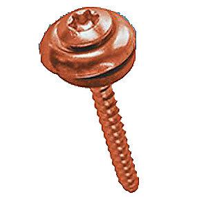 stk 200 a pakke - a2 rustfri forkobret tningsskive t med linsehoved 5x45mm 4 facadeskrue bossard