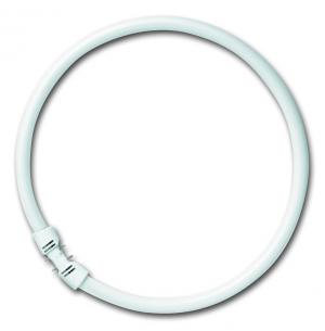 osram som 16x220mm 2gx13 hvid dagslys - 865 22w fc r cirkelr t5