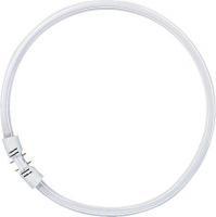 osram som 16x295mm 2gx13 hvid dagslys - 865 55w fc r cirkelr t5