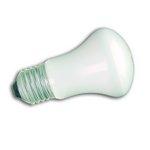 e27 240v 40w krypton