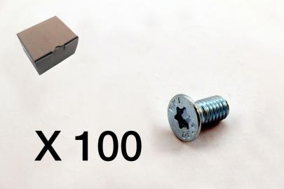3102-0816q1 torx nket unders skrue 100
