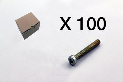 3101-0630q1 hoved lavt torx cylinderskrue 100