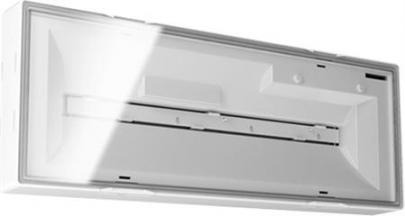 3t flat panik ledi 20 elx