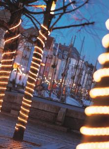 230v 2700k 4m 13mm 64w 8 144-lys tech-line lysdekoration ropelight - 45730 sirius