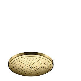guld-optik poleret 1jet hovedbruser 280 croma hansgrohe