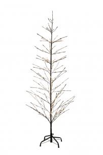 snehvid brun 6m h1 tr isaac - 51810 sirius