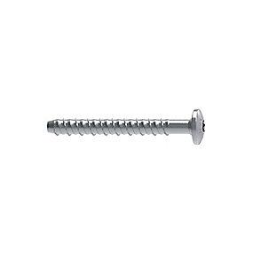 stk 100 a kasse elforzinket 30 torx med panhoved mm 6x40 betonskrue w-lx-p walraven