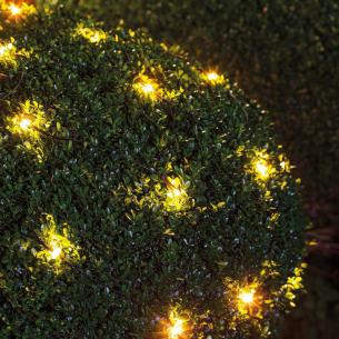 sort 2700k 5m 2x1 100-lys model 2020 top-line net t starts - 50500 sirius