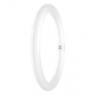 em 230v 32w 830 3w 18 2000lm g10q r cirkul value t9 r led-r ledvance