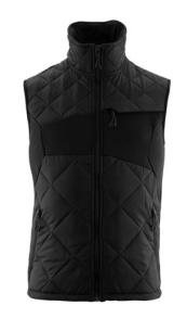 l sort 18065 accelerate vintervest