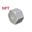 12 1 gevind npt bar 20 316-cf8m 6kt slutmuffe gevind