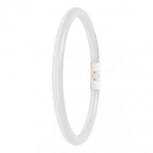 2gx13 830 6w 11 1550lm 22mm external fc performance t5 r led-r ledvance