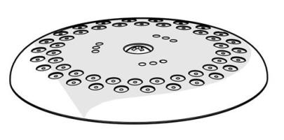 o-ring m sensiva si