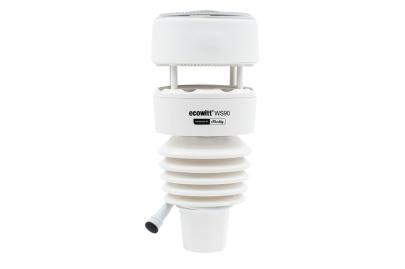 shelly by powered - station weather ecowitt