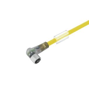 no shielded yes led angled socket m 10 4 poles of number m8 cable sensor-actuator