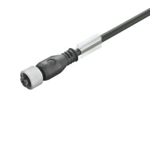 no shielded no led straight socket female m 10 4 poles of number m12 cable sensor-actuator