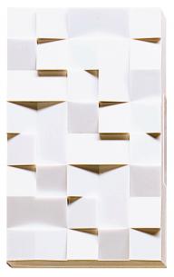 facet d107 friedland