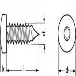 2,2x19 iso 14585/din 7981 a4 panhoved pladeskrue torx