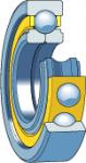 Leje skf qj 313 ma