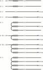 Deviconnecto b-a tilslutning 19808360