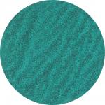 Quick rondel roloc type 3 pe y 75xr za120 p48 stål/inox