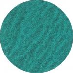 Quick rondel roloc type 3 pe y 50xr za36 p48 stål/inox