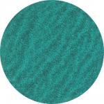 Quick rondel roloc type 3 pe y 75xr za60 p48 stål/inox