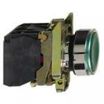 xb4bw33b5 br sl n gr lampet