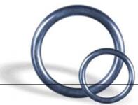 O-ring 295 x 5 nbr-70