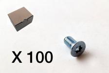 100 skrue undersænket torx 3102-0612q1