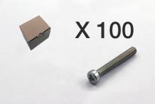Cubic 100 cylinderskrue, torx, lavt hoved