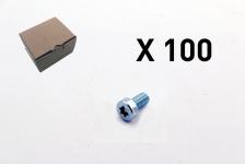 100 cylinderskrue torx lavt hoved 3101-0812q1