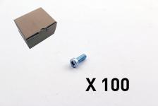 100 Cylinderskrue, Torx, Lavt Hoved