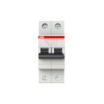 Automatsikring sh202-b10