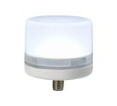 E-lite led steady qc m12 v24 klar