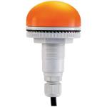 P50 s cable v12/24 orange