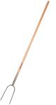Galax fork 2-gr.