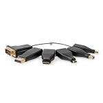 HDMI Adapter | DisplayPort Han / DVI-D 24 + 1-pin han / HDMI Micro-stik / HDMI Mini-stik / Mini DisplayPort han / USB-C Han | HDMI Hun | Guldplateret | Lige | PVC | Sort | 6 stk. | Box