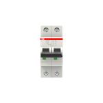 Automatsikring 13a 2p d-karakteristik s202m-d13