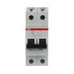 Automatsikring 2a 2p b-karakteristik s202-b 2