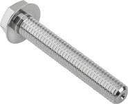 Kipp hygienic m10x55 mm. rustfri bolt 6-kant hoved poleret nv=16