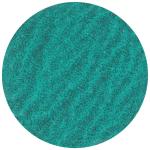 Premium quick rondel type s 50xs za36 p48