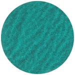 Premium quick rondel type s 50xs za80 p48