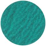 Premium quick rondel type s 75xs za60 p48