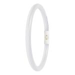 2gx13 830 6w 11 1550lm 22mm external fc performance t5 r led-r ledvance