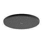 pvd krom sort rst b ecosmart 1jet 300 hovedbruser s alive raindance hansgrohe